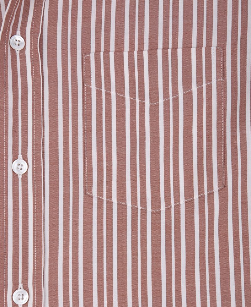 Terracota Striped English Collar Casual Shirt